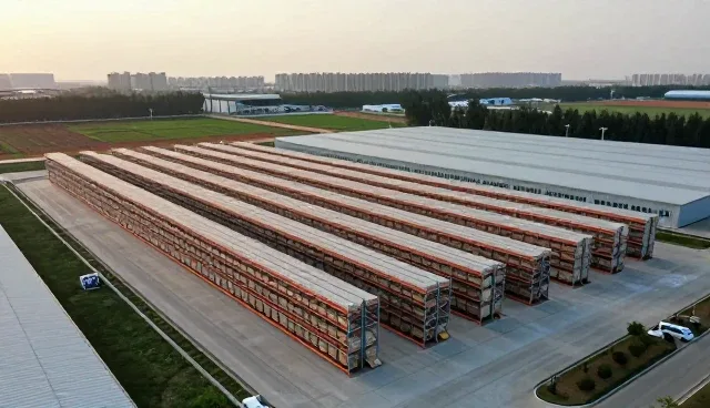 线上店铺运营中仓储配送性能的关键影响因素分析